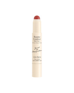 Embryolisse 3 in 1 Mocha Color Stick Balm 2,5 g