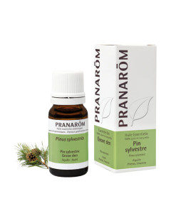 Pranarom Eterično ulje bijelog bora 10 ml