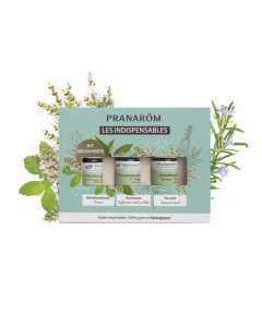 PRANAROM set neizostavnih eteričnih ulja, menta, ravinsara i čajevac